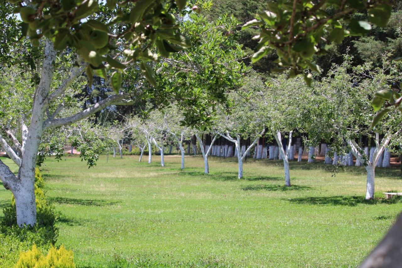 Cabanas Rancho El Mayab Zacatlán Exterior foto